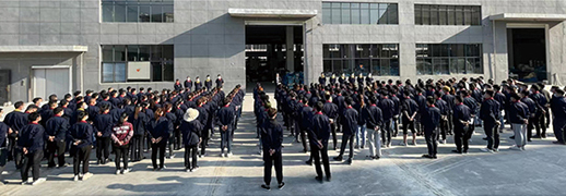 公司实力